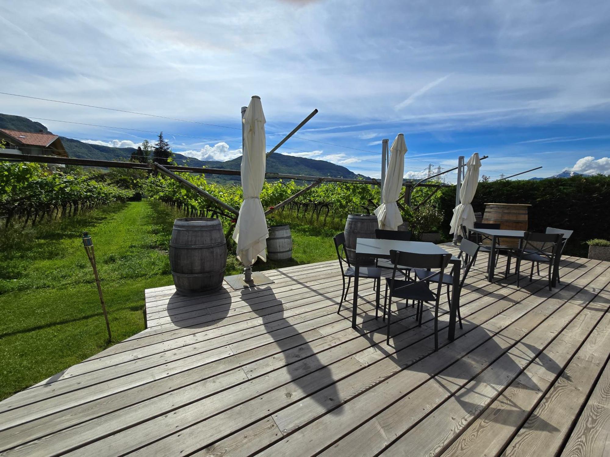 Antico Fienile Agritur Villa Mezzocorona Exterior photo