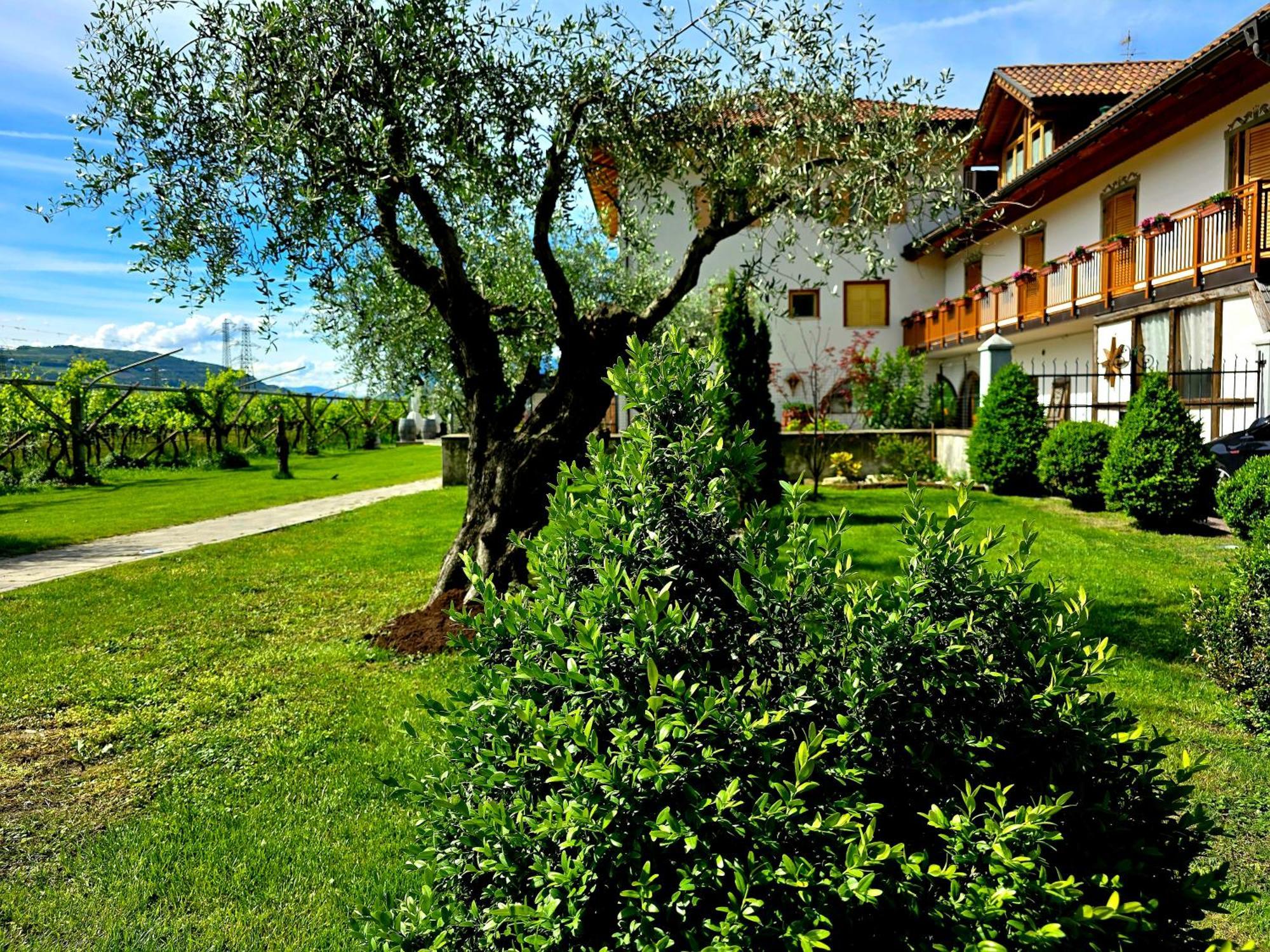 Antico Fienile Agritur Villa Mezzocorona Exterior photo