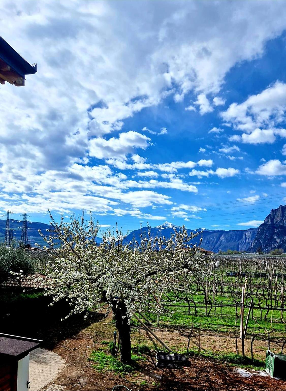 Antico Fienile Agritur Villa Mezzocorona Exterior photo